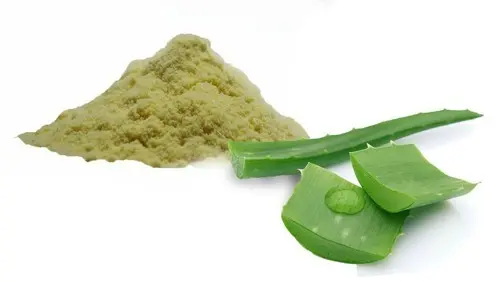 aloe-vera-powder.webp