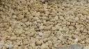 sandstone-pebbles.webp